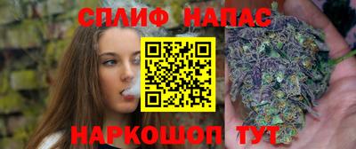 мяу мяу мука Малоярославец