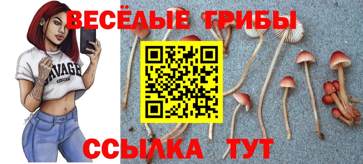 Псилоцибиновые грибы MAGIC MUSHROOMS Советск