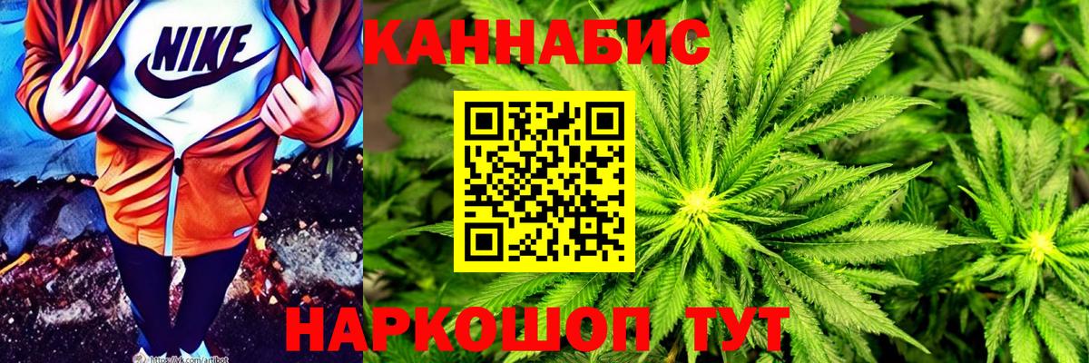 Конопля конопля Советск